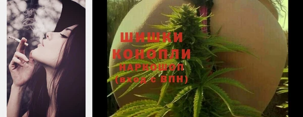 стафф Медвежьегорск