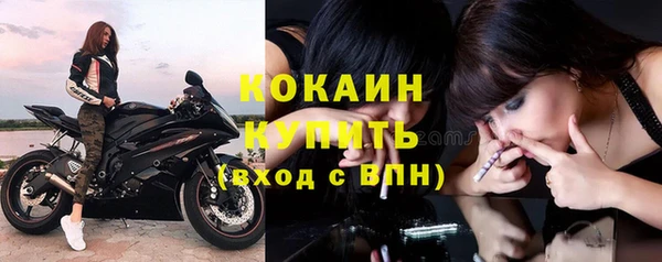 стафф Медвежьегорск